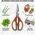 AGT Garden Tools Combo Kit of a Gardening Pruner and Gardening Scissor | Used for Small-Scale Gardening Processes (2 Tools