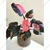 Calathea Triostar & Philodendron Pink Princess Plants Combo Pack With Pots Used For Both Indoor & Outdoor Planting