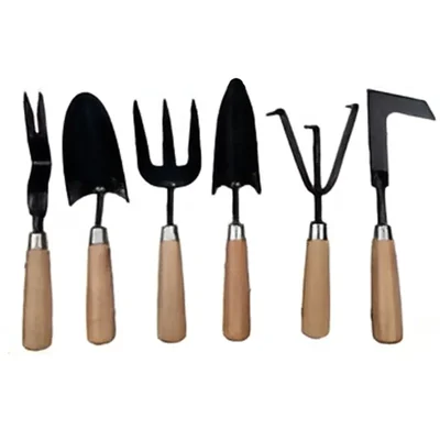 Carbon Steel 6 pcs Hand Tool Set with Wooden Handle - Weeder, Trowel, Fork, Transplanter, Cultivator & Patio Weeder