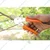 AGT Garden Tools Combo Kit of a Pruner, Double-Cut & Roll-Cut Cutter, 5 pc Trowel Set, Spray Gun and Gardening Gloves