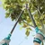 Total Lopper THT1527401 For Garden Purpose, Tree Branch Cutter