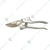 Orezen GT-027 Pruner Used for Horticulture, Grafting and Gardening Purpose