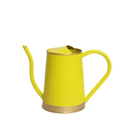 Ecofynd Stylish & Durable Galvanized Iron Watering Can for Efficient Plant Care