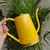 Ecofynd Stylish & Durable Galvanized Iron Watering Can for Efficient Plant Care
