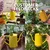 Ecofynd Stylish & Durable Galvanized Iron Watering Can for Efficient Plant Care