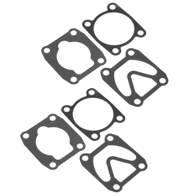 Gas Kit for Oil Type Air Compressor (Pack of 2)