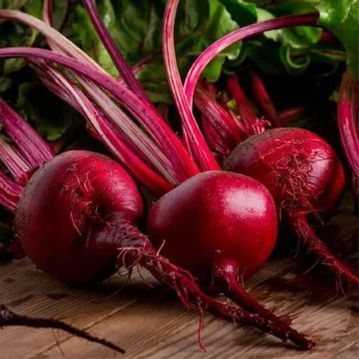 Gebdinsh Imported Beetroot Vegetables Seeds For Home Gardening