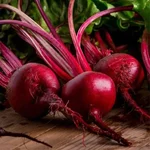 Gebdinsh Imported Beetroot Vegetables Seeds For Home Gardening
