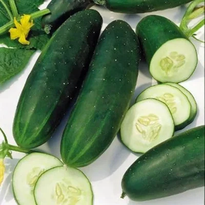 Gebdinsh Imported Dark Green Cucumber Vegetables Seeds For Kitchen Gardening