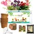 Ecofynd GROWKIT004-105 5-in-1 DIY GrowKit - Zinnia, Balsam, Dahlia, Aster, Portulaca Garden Kit for Home & Garden