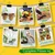 Ecofynd GROWKIT004-105 5-in-1 DIY GrowKit - Zinnia, Balsam, Dahlia, Aster, Portulaca Garden Kit for Home & Garden