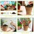 Ecofynd GROWKIT004-105 5-in-1 DIY GrowKit - Zinnia, Balsam, Dahlia, Aster, Portulaca Garden Kit for Home & Garden