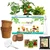 Ecofynd GROWKIT007-103 3in1 Salad Gardening Kit : Cherry Tomato, Capsicum Mix, Lettuce, Gardening Kit For Home & Garden