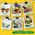 Ecofynd GROWKIT007-103 3in1 Salad Gardening Kit : Cherry Tomato, Capsicum Mix, Lettuce, Gardening Kit For Home & Garden