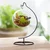 Ecofynd Ornament Display Stand-Glass Globe Air Plant Terrarium Pothook Stand (DS006-BLK)[Pack of 2]