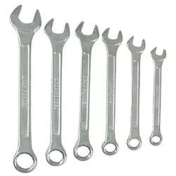 Globus Pack of 6 Combination Spanner Set (Chrome matt finish) (359)