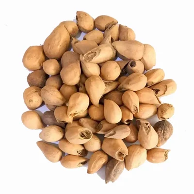 Gmelina Arborea Tree Seeds - Kumli Maram Seeds -(100g)