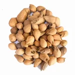 Gmelina Arborea Tree Seeds - Kumli Maram Seeds -(100g)