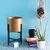 Ecofynd Golden Mid Century Metal Plant Pot With Stand for Interior Decoration