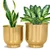 Ecofynd 2 Pcs Eva Golden Metal Plant Pots with Drainage Hole for Interior Decoration, Home Garden Decor Planter