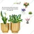 Ecofynd 2 Pcs Eva Golden Metal Plant Pots with Drainage Hole for Interior Decoration, Home Garden Decor Planter