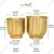 Ecofynd 2 Pcs Eva Golden Metal Plant Pots with Drainage Hole for Interior Decoration, Home Garden Decor Planter