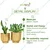 Ecofynd 2 Pcs Eva Golden Metal Plant Pots with Drainage Hole for Interior Decoration, Home Garden Decor Planter