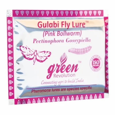 Green Revolution Highly Effective Gulabi Fly Insect Lure(Pack-30 Pcs)