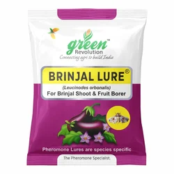 Green Revolution Highly Effective Brinjal Insect Lure(Pack-20 pcs)