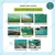 High Quality 8 x 10 feet 75 % UV Sunlight Protected Green Shade Net | Suitable for Home, Garden, Nursery