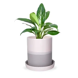 Ecofynd Grey & White Ceramic Plant Pots - 1 Pot | Used for Home and Garden Decor