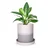 Ecofynd Grey & White Ceramic Plant Pots - 1 Pot | Used for Home and Garden Decor
