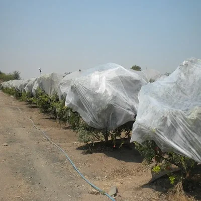 Siddhi 3.2 x 400 meter High Quality Non Woven Pomegranate Tree Cover(Type-17 GSM)