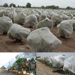 Siddhi 3.2 x 400 meter High Quality Non Woven Pomegranate Tree Cover(Type-17 GSM)