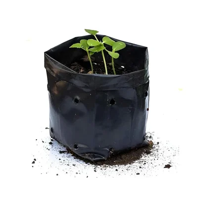 Agrivision 5X7 Inch Black Nursery Grow Bags (Pack Of 300) Uv Coated Designed For Seedlings And Plants