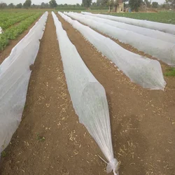 High Quality 2.1 x 400 meter Crop Protection Cover | Ideal for Agricultural and Gardening Purposes(GSM-17)