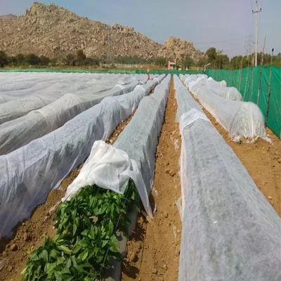High Quality 2.1 x 400 meter Crop Protection Cover | Ideal for Agricultural and Gardening Purposes(GSM-17)