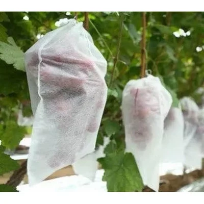 Non Woven Fruit Protection Bag UV Protected 6.5 x 9 inch Insect & Pest Cover 17 GSM (500 pcs) for Pomegranate, Guava