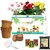 Ecofynd GROWKIT002-103 3 in 1 DIY Growkit for Marigold, Sunflower and Cosmos Mix for Home and Garden