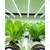 Pindfresh Full Spectrum Grow Light For Leafy Plants, 16480K White Hydroponic System Growlight (Pack of 2)