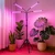 Ecofynd Kaira4 Grow Light for Indoor Plants (Vegetables, Leafy Growth & Flowering Boost), Auto On/Off Automatic Timer