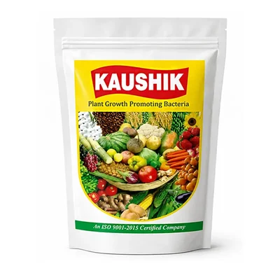 KOUSHIK 25Kg Bio-Fungicide Plant Growth Promoting Bacteria Wettable Powder for Broad Spectrum Fungal Control