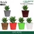 GTC 6" Multi Color Brick Planter Modern Decorative Pots for Stylish Spaces, Home Decoration, Gardens (Pack of 5)(Color-White)