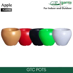 GTC 10" Multi Color Apple Planter Modern Decorative Pots for Stylish Spaces, Home Decoration, Gardens (Pack of 5)(Color-Multi Colour)