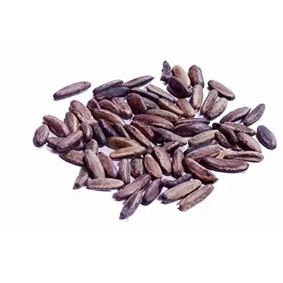 Gulmohar ( May Flower ) Tree Seeds 1KG