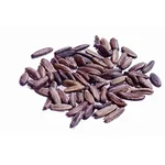 Gulmohar ( May Flower ) Tree Seeds 1KG