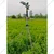 Automat 1-1/4 Inch Gun Stand without Elbow for Rain Gun Sprinklers Used for Agriculture purpose