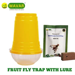 WAVAR Fruit Fly Trap with Cucurbitae Lure(Pack-3 Traps and 3 Lures)