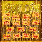 19 Pcs Haldi Ceremony Decoration Kit Gold Foil Curtain Props Light(pack of 3)