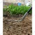 2 in 1 Culti-Weeder, Hand Weeder (Manual) with 4.5 Feet Handle (Pack Of 4)